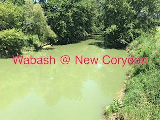 wabash river polluted by CAFOS