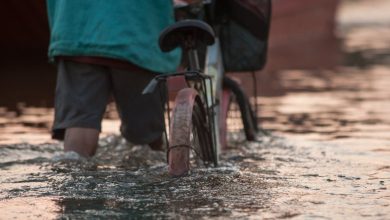 A person in a teal shirt and black shorts walks with a bike through water on a flooded street.