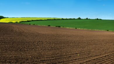 A large plot of raw land with tilled soil and two lush green fields in the background separated by lines of trees.